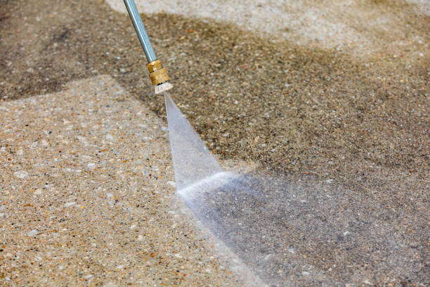 Animal Enclosure Cleaning in Fairview, NJ