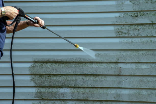 Best Solar Panel Cleaning  in Fairview, NJ